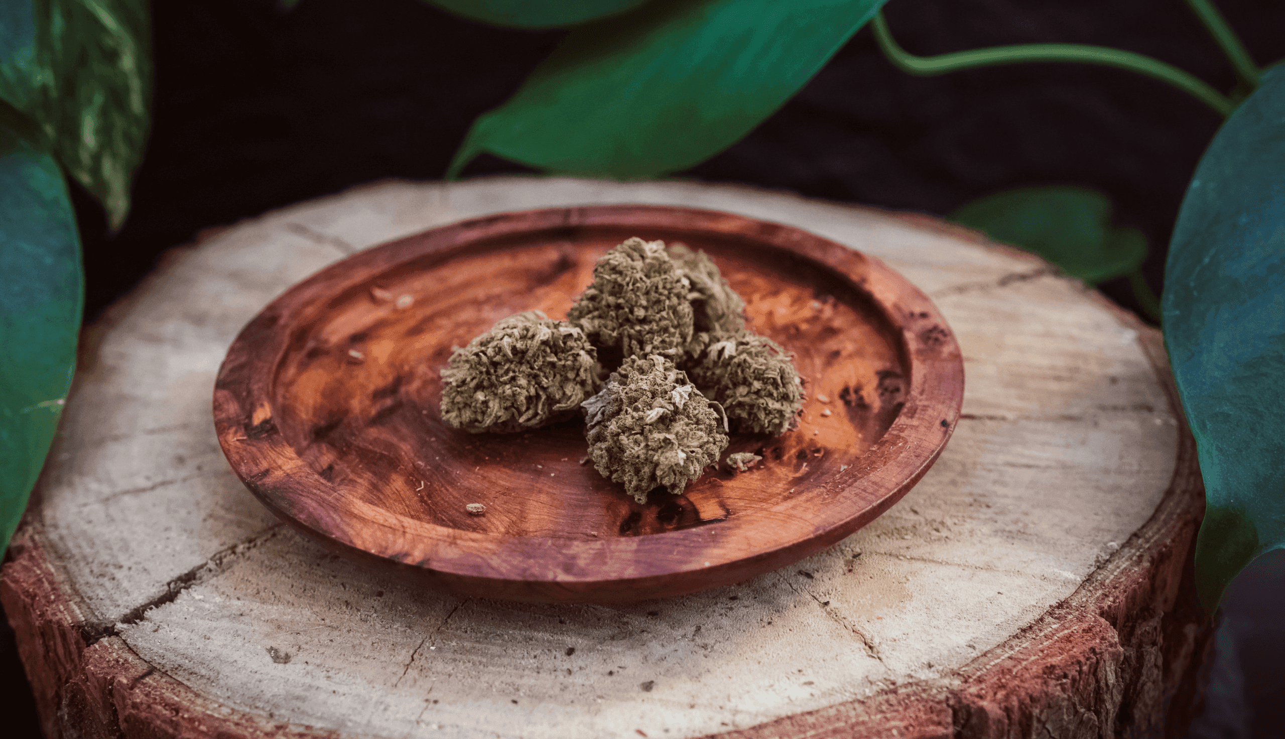 Cannabisblüten auf einem Holztablett auf einem Baumstamm